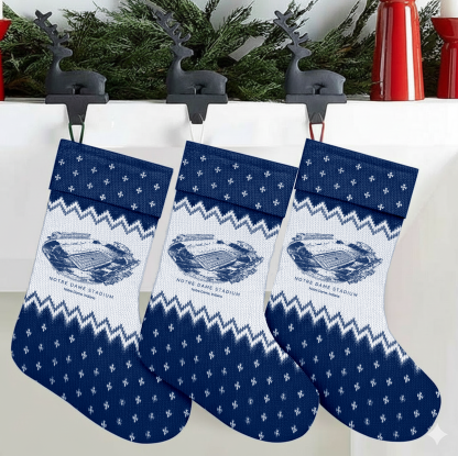 Customized Notre Dame Stadium Christmas Stocking Gift For Family Member - Limited Edition