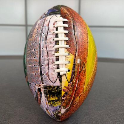 Memorial Stadium (Clemson) Football University Series （NEW)