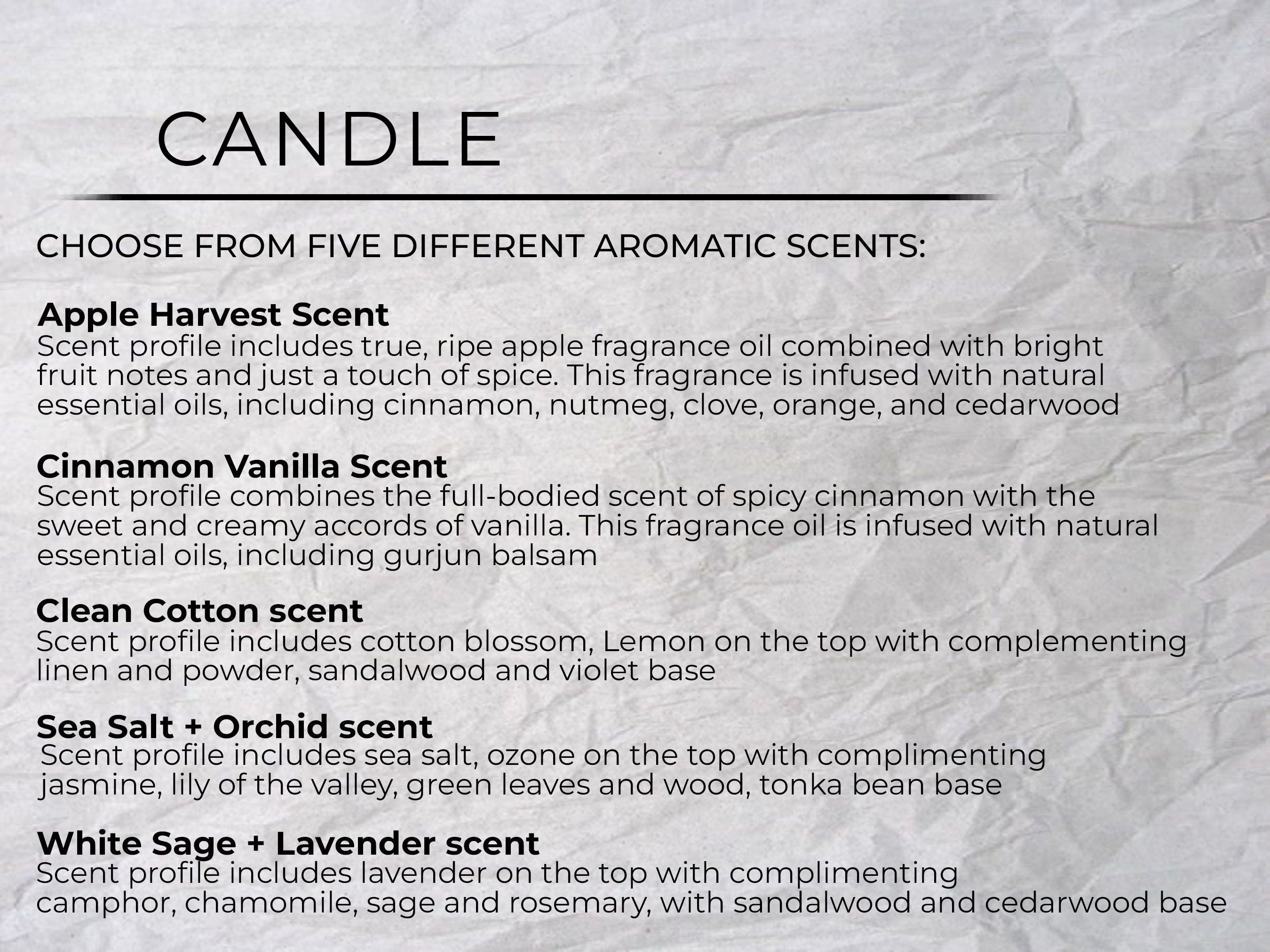 Smells like A Commanders Win | Washington Commanders My Lucky Game Day Candle | Gift for Football Fan | Gift for Commanders Fan | Man Cave
