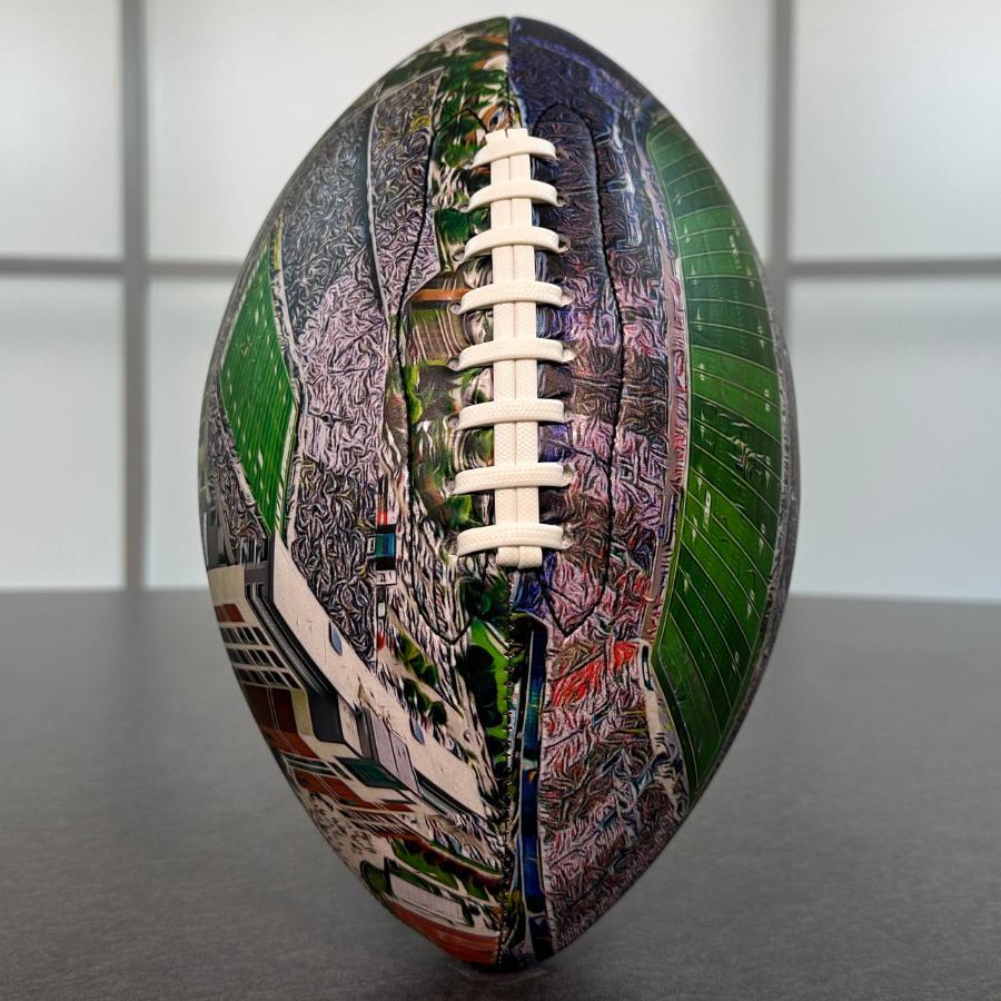 Spartan Stadium Football University Series