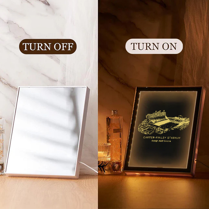 Carter- Finley Stadium Art Frame LED Mirror Light