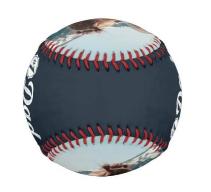 Custom Baseball And Softball for your Child's First Birthday