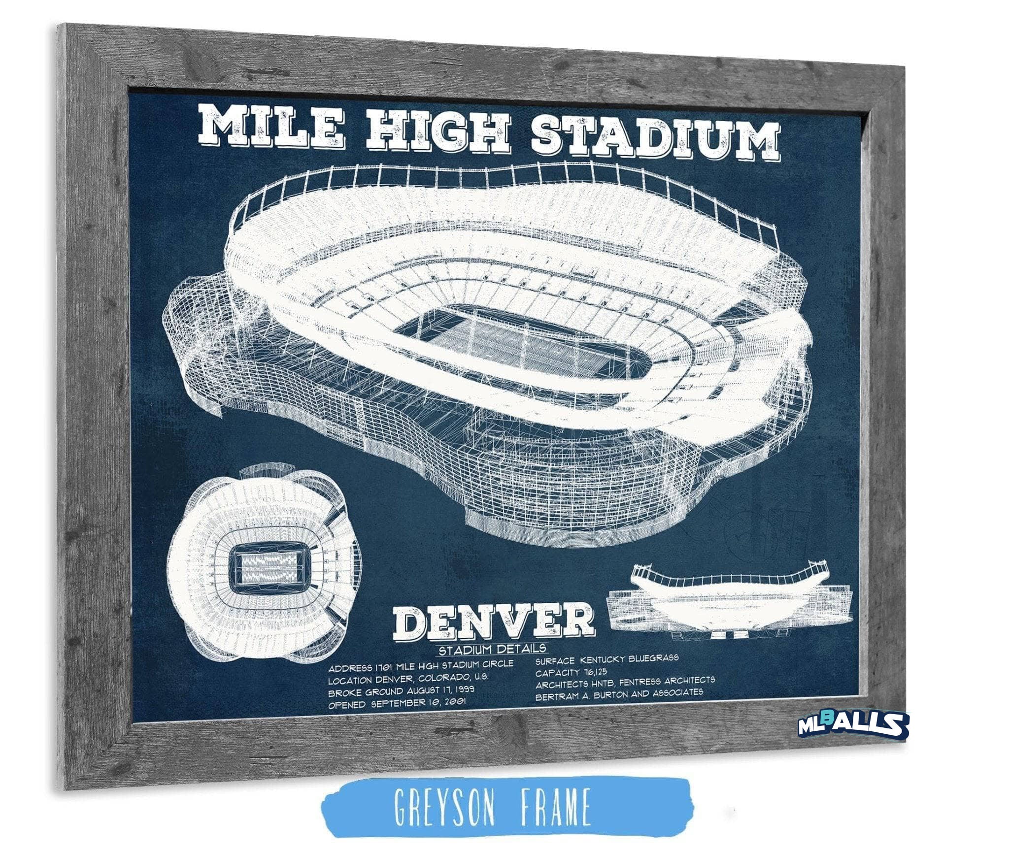 Mile High Stadium Football Print