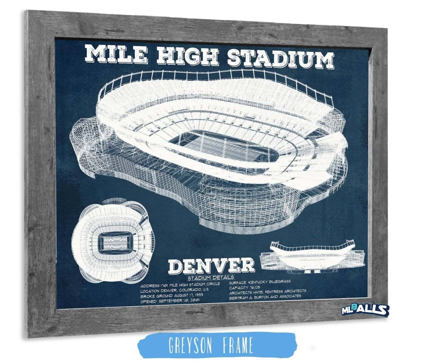 Mile High Stadium Football Print