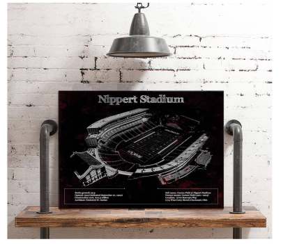 Vintage Nippert Stadium Team Color Art Print