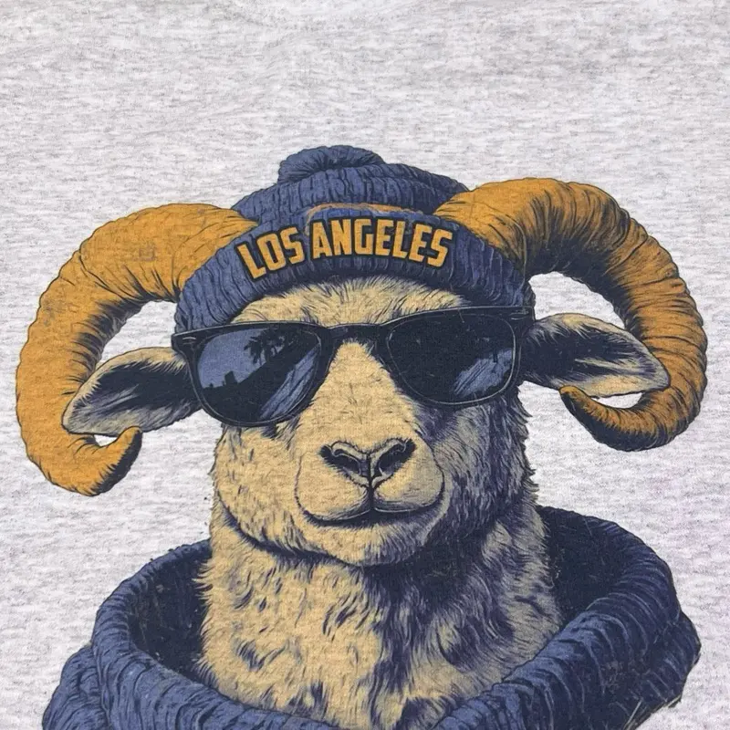 Custom Spirit Animal Football Sweatshirt – City Team Game Day Pullover