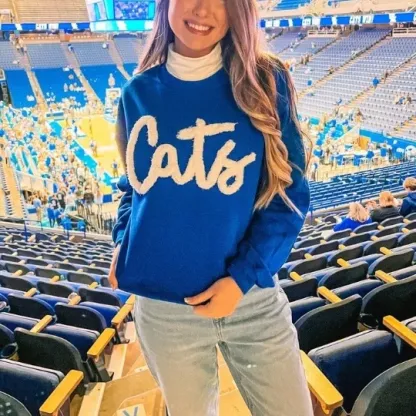 Custom Oversized Team Chenille Embroidered Sweatshirt