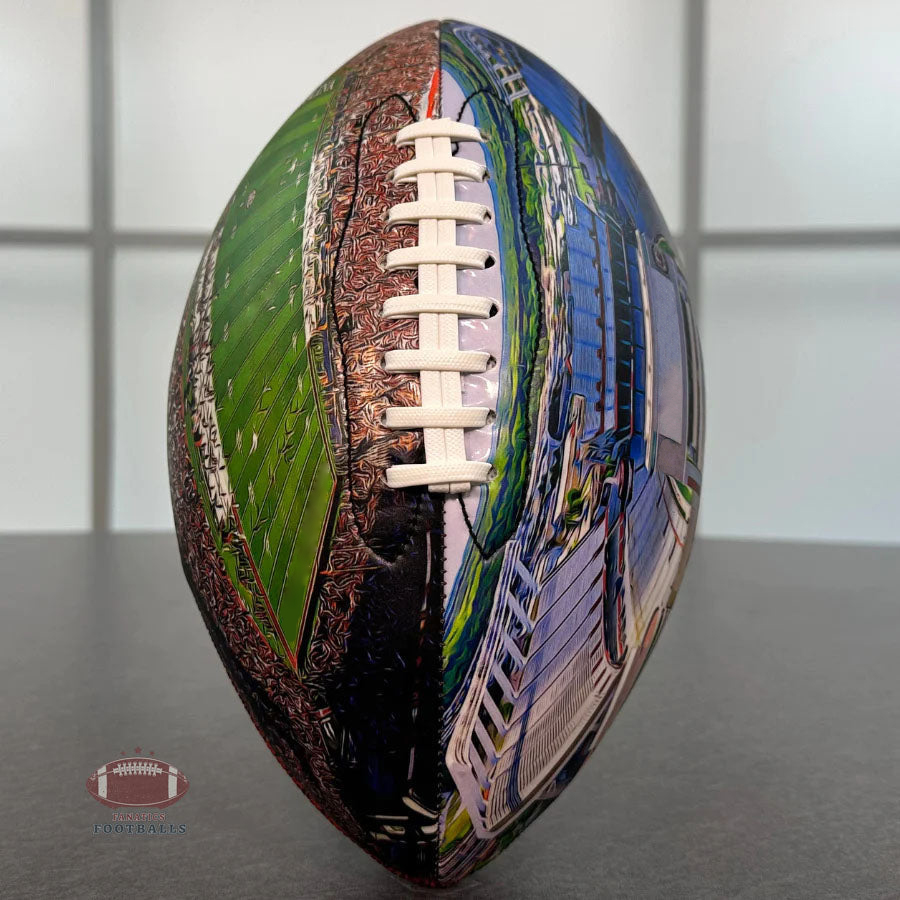 Williams–Brice Stadium University Series （New）