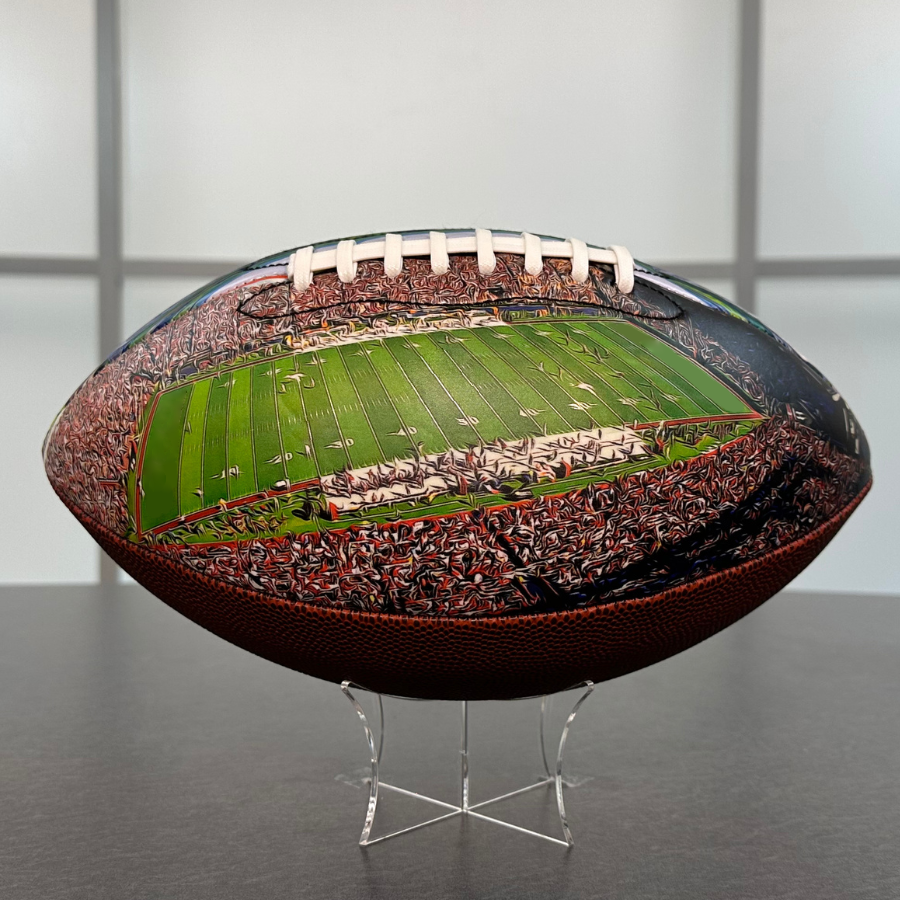 Williams–Brice Stadium University Series （New）