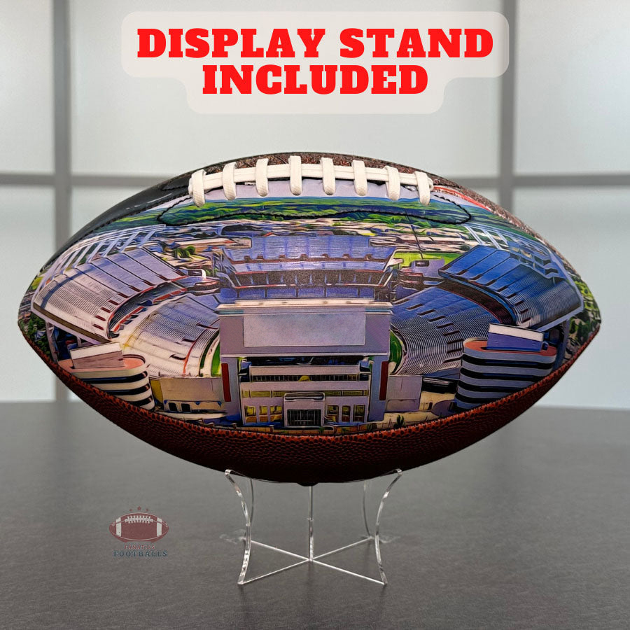 Williams–Brice Stadium University Series （New）