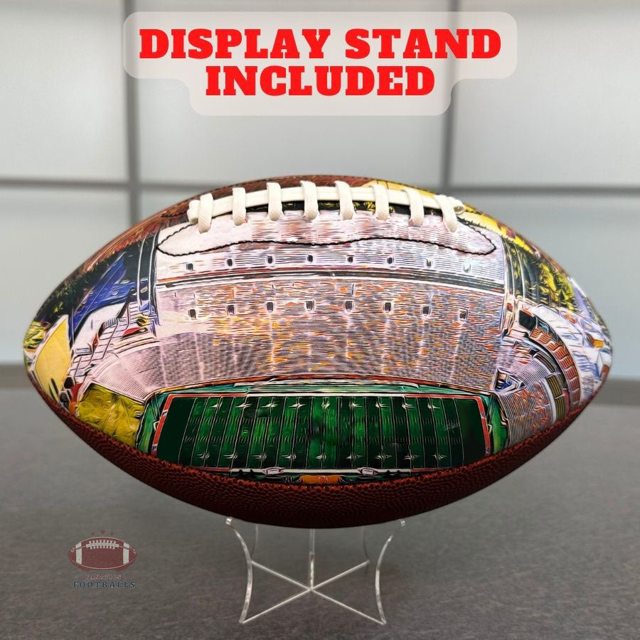 Memorial Stadium (Clemson) Football University Series （NEW)