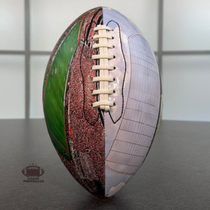 Donald W. Reynolds Stadium Football University Series(NEW)