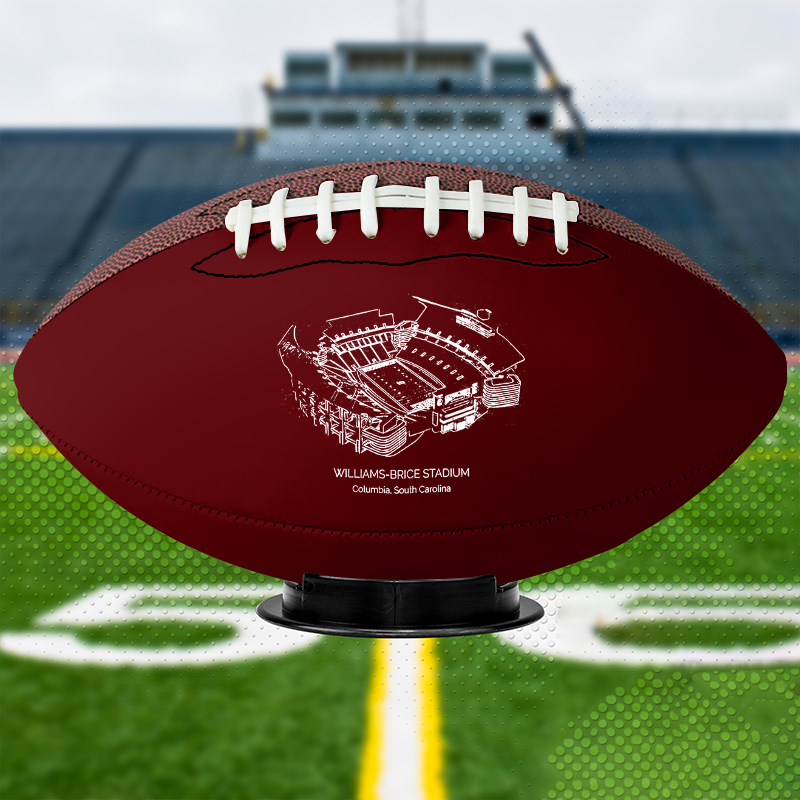 Williams–Brice Stadium - South Carolina Gamecocks football, Stipple Art College Football