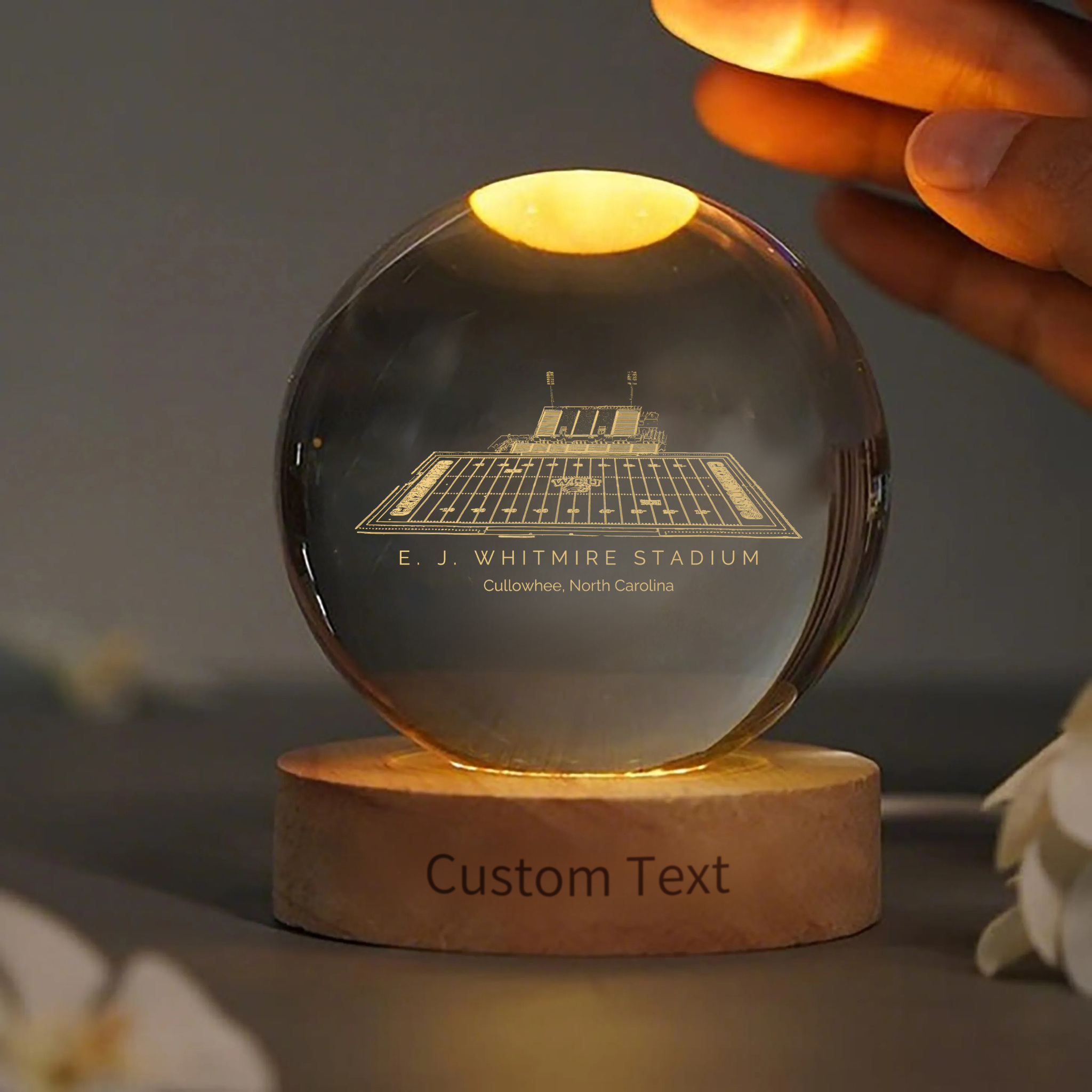 E. J. Whitmire Stadium 3D Spherical Crystal Lamp