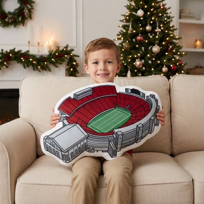 Camp Randall Stadium Plush Pillow