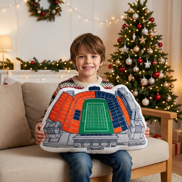 University of Illinois Memorial Stadium Plush Pillow