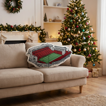 Martin Stadium Plush Pillow