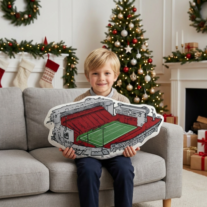 Martin Stadium Plush Pillow