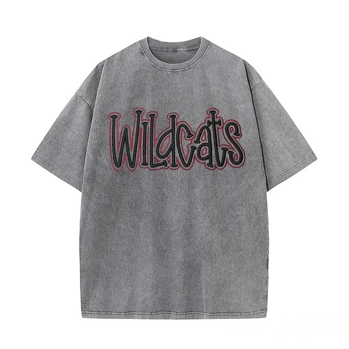 Personalized College Team Double 3D Puff School Mascot Embroidered Washed T-Shirt
