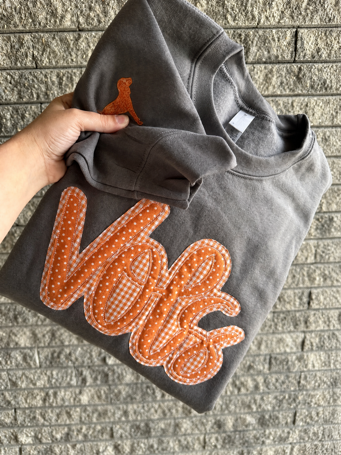Mascot Sweatshirt/tshirt, Appliqué Crewneck, Gameday Spirit Wear, Cozy College Sweater