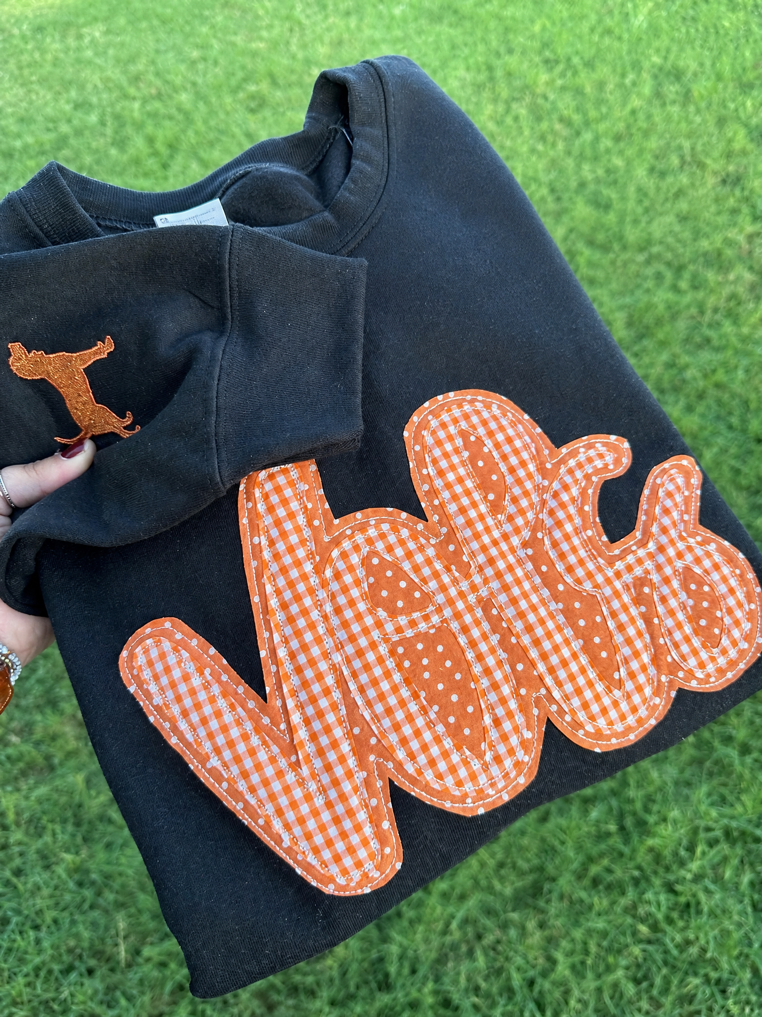 Mascot Sweatshirt/tshirt, Appliqué Crewneck, Gameday Spirit Wear, Cozy College Sweater