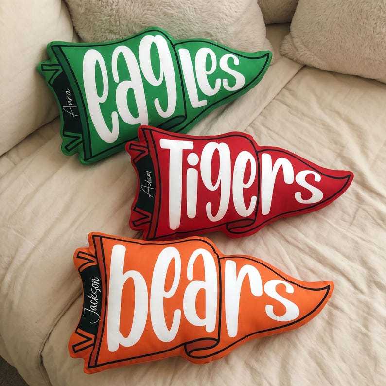 Custom Team Name Pennant Flag Pillow, Custom School Spirit Pillow, School Mascot Pillow Gift