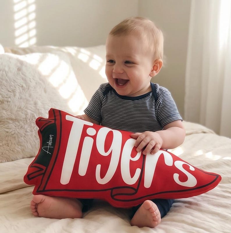 Custom Team Name Pennant Flag Pillow, Custom School Spirit Pillow, School Mascot Pillow Gift