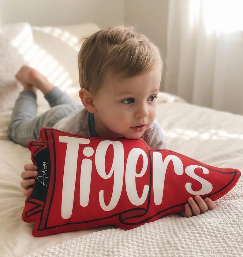 Custom Team Name Pennant Flag Pillow, Custom School Spirit Pillow, School Mascot Pillow Gift