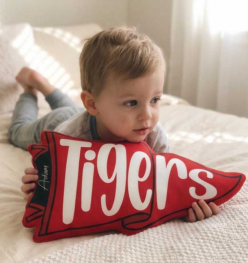 Custom Team Name Pennant Flag Pillow, Custom School Spirit Pillow, School Mascot Pillow Gift