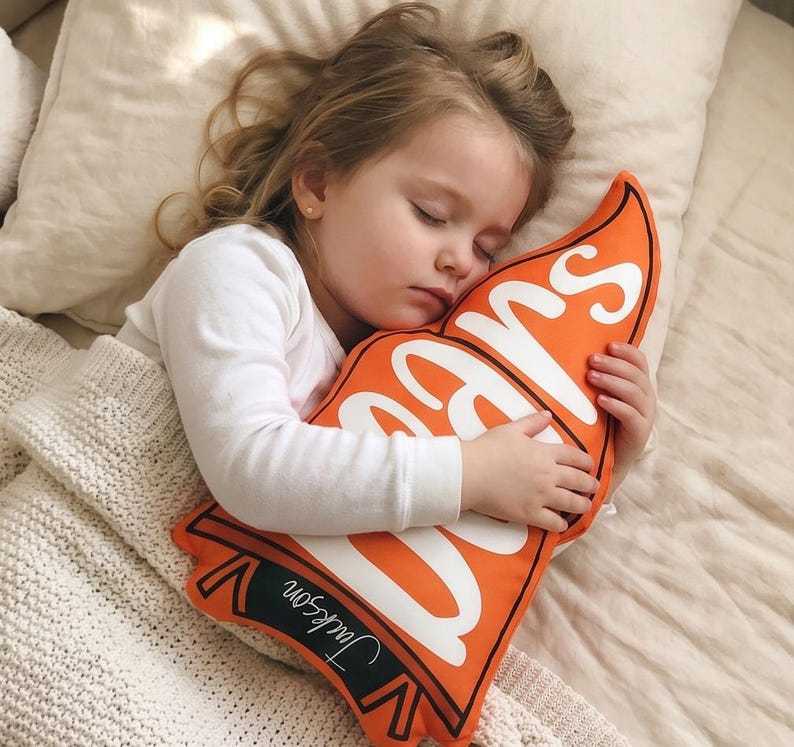 Custom Team Name Pennant Flag Pillow, Custom School Spirit Pillow, School Mascot Pillow Gift