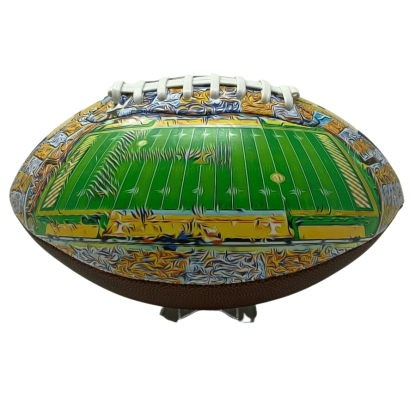 Neyland Stadium Football University Series