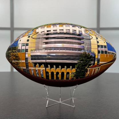 Neyland Stadium Football University Series