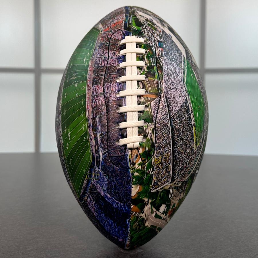 Spartan Stadium Football University Series