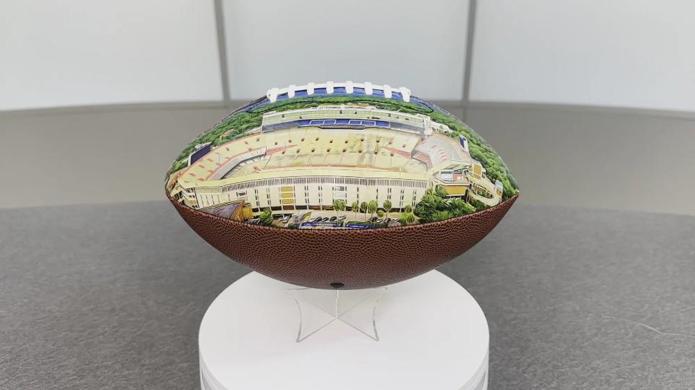 Ben Hill Griffin Stadium Football University Series(NEW)