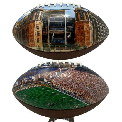 Texas Memorial Stadium Football University Series