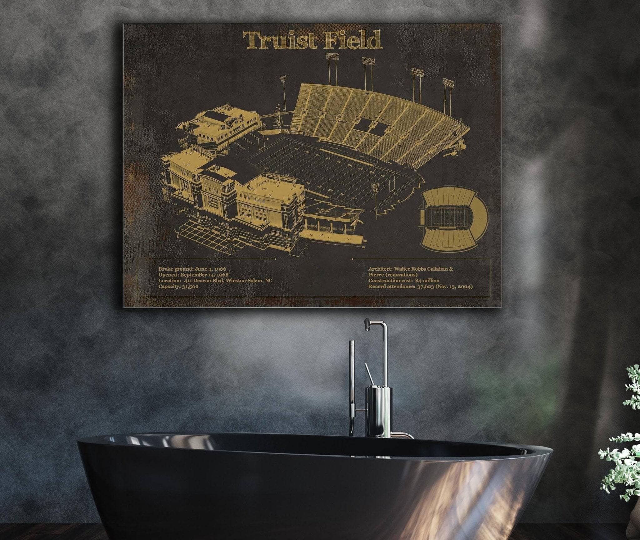 Truist Field Vintage Wall Art