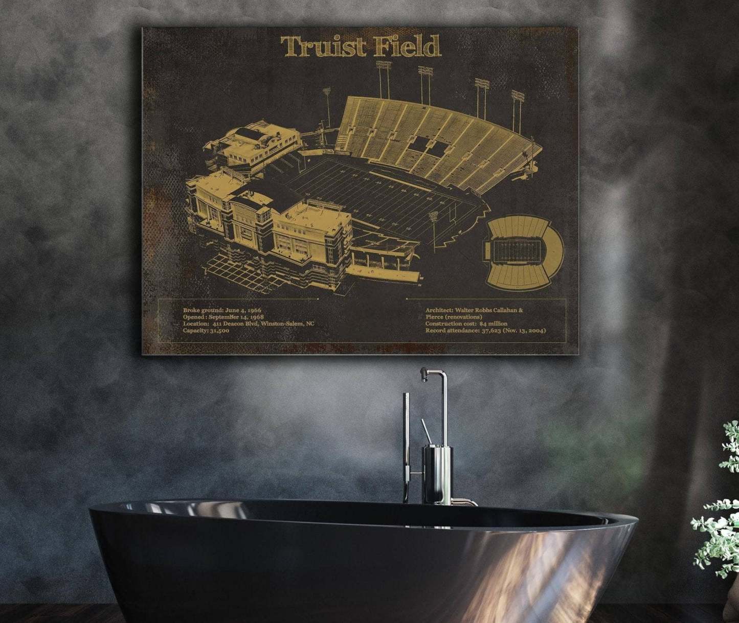 Truist Field Vintage Wall Art