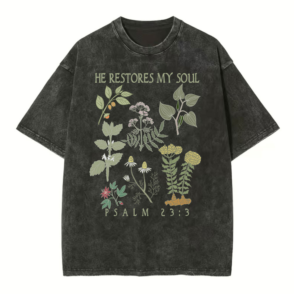 He Restores My Soul Christian Washed T-Shirt