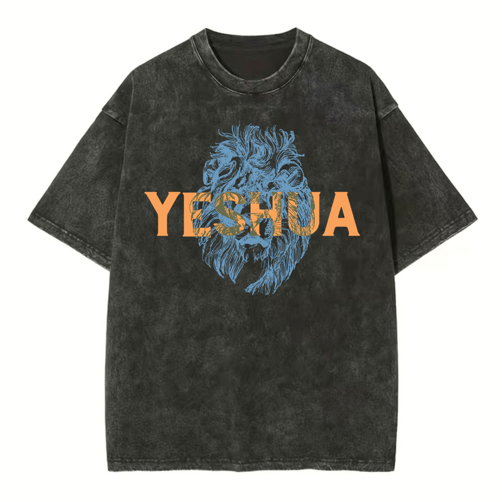 Lion And Yeshua Christian Washed T-Shirt