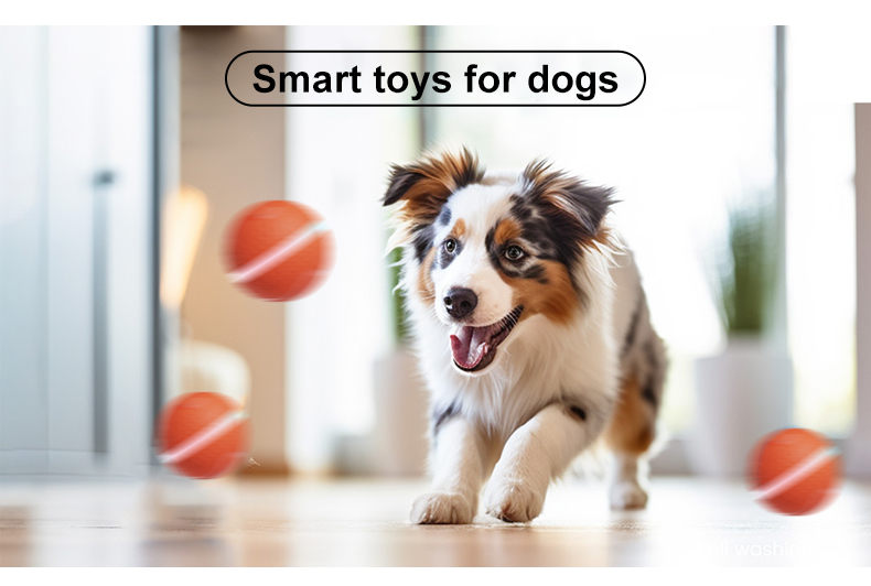 💥New Year Gift Sale 60% OFF💥Smart Rolling Pet-teasing Ball Toy 🐾
