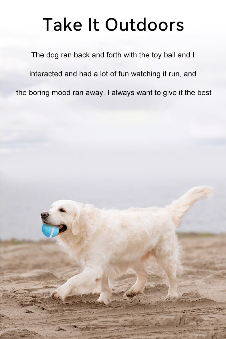 💥New Year Gift Sale 60% OFF💥Smart Rolling Pet-teasing Ball Toy 🐾