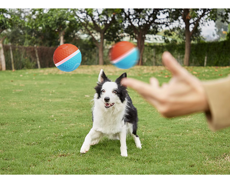 💥New Year Gift Sale 60% OFF💥Smart Rolling Pet-teasing Ball Toy 🐾