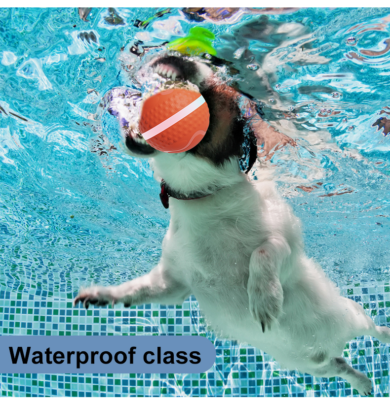 💥New Year Gift Sale 60% OFF💥Smart Rolling Pet-teasing Ball Toy 🐾