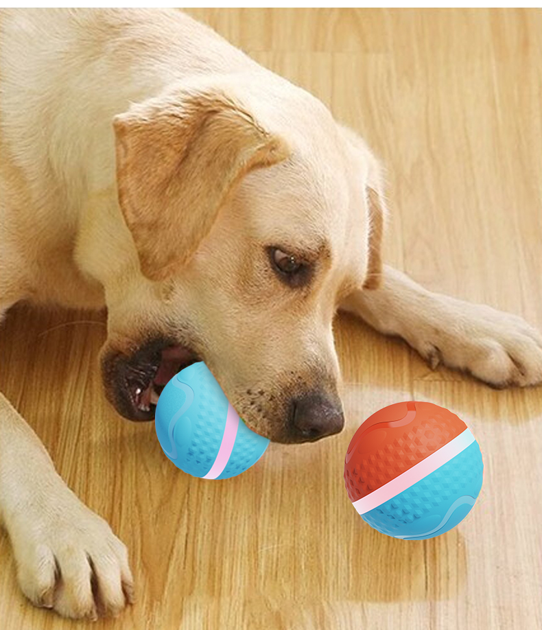 💥New Year Gift Sale 60% OFF💥Smart Rolling Pet-teasing Ball Toy 🐾
