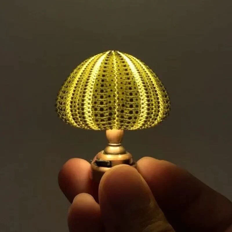 💝💡DIY Sea Urchin Small Night Light Kit