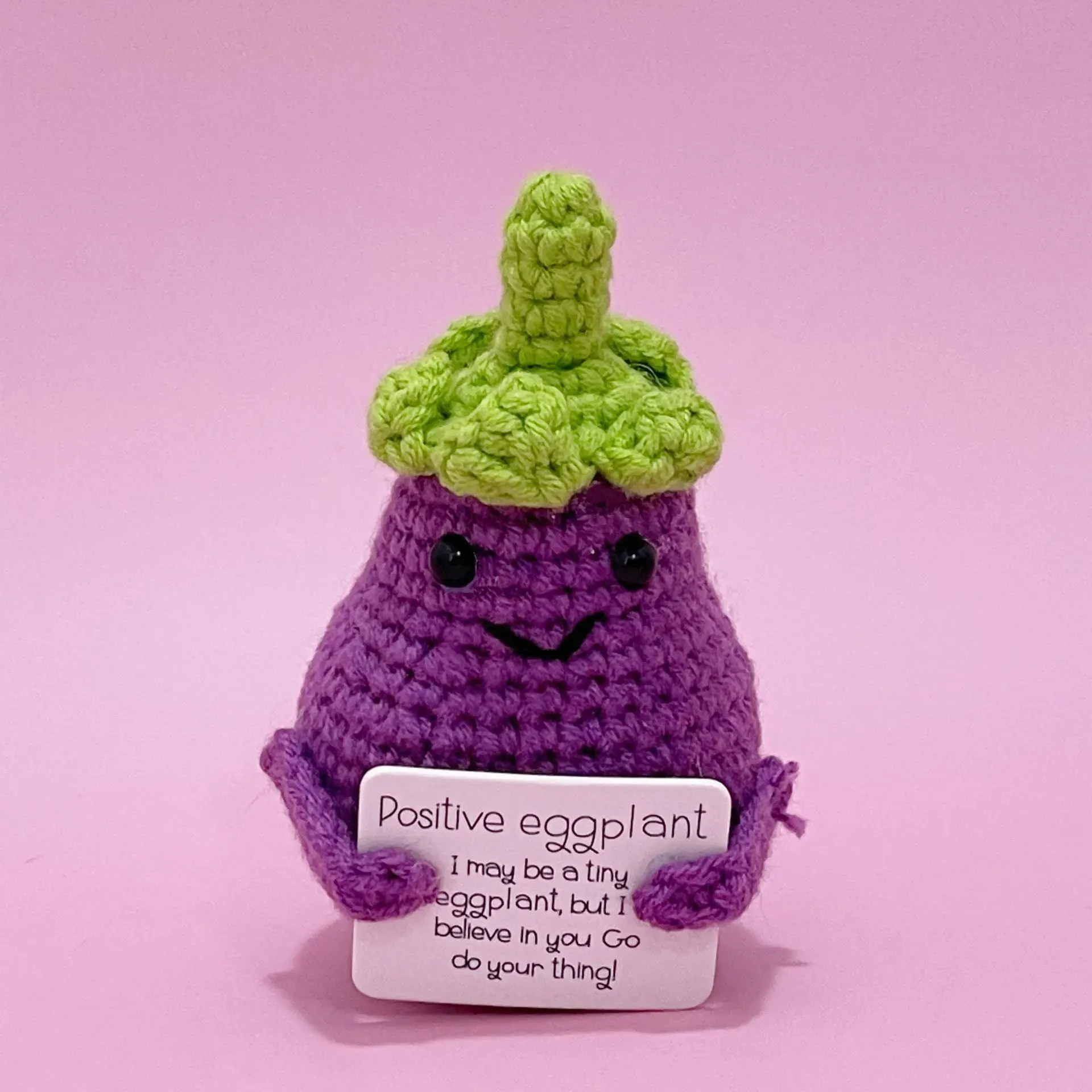 🎁Handmade Emotional Support Plant Gift