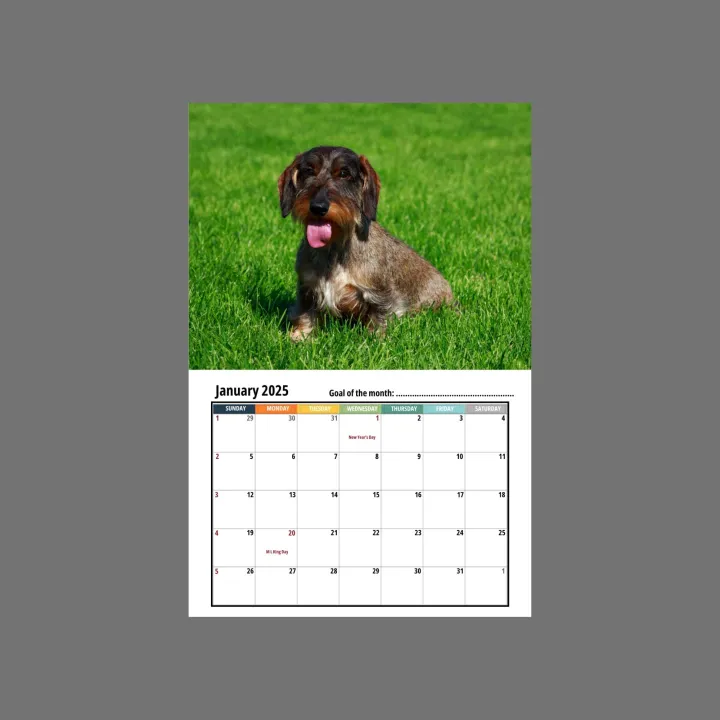 🦴🐶2025 Dachshund Wall Calendar