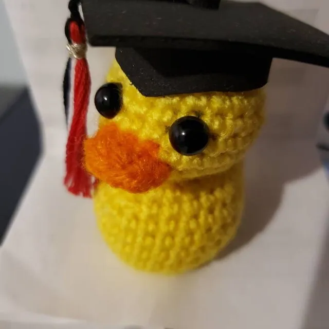 🎓️Graduation Duck