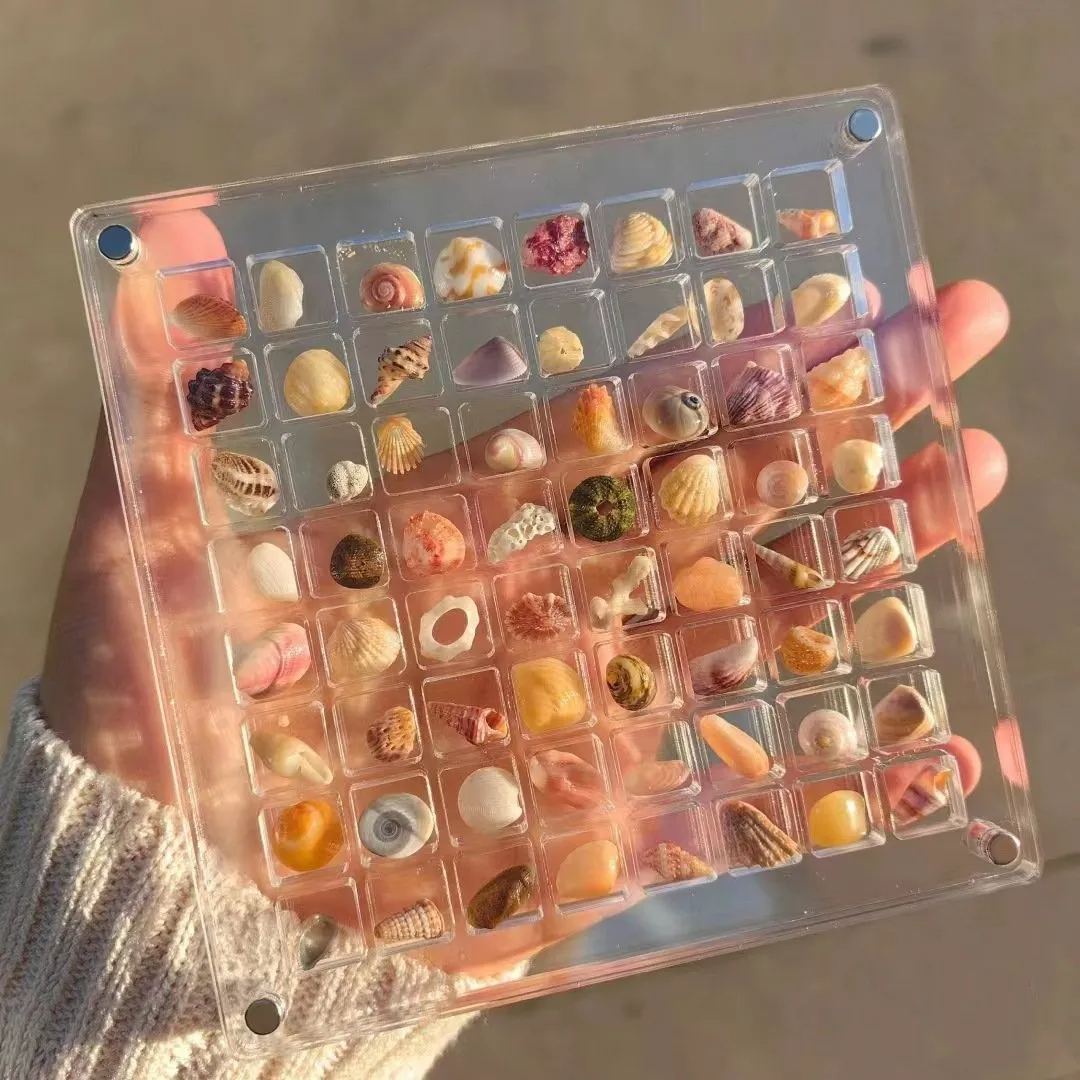 🐚Acrylic Magnetic Seashell Display Box