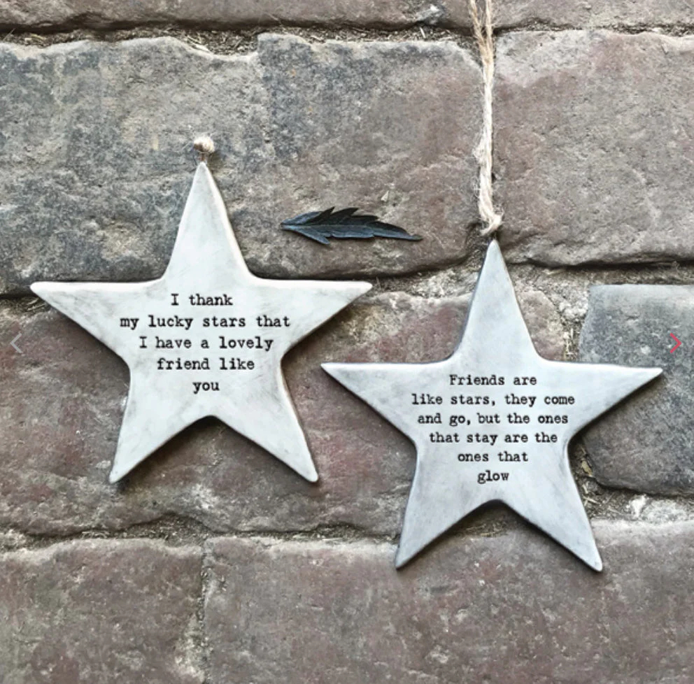 ⭐Emotional Support Rustic Hanging Star Ornament🎁